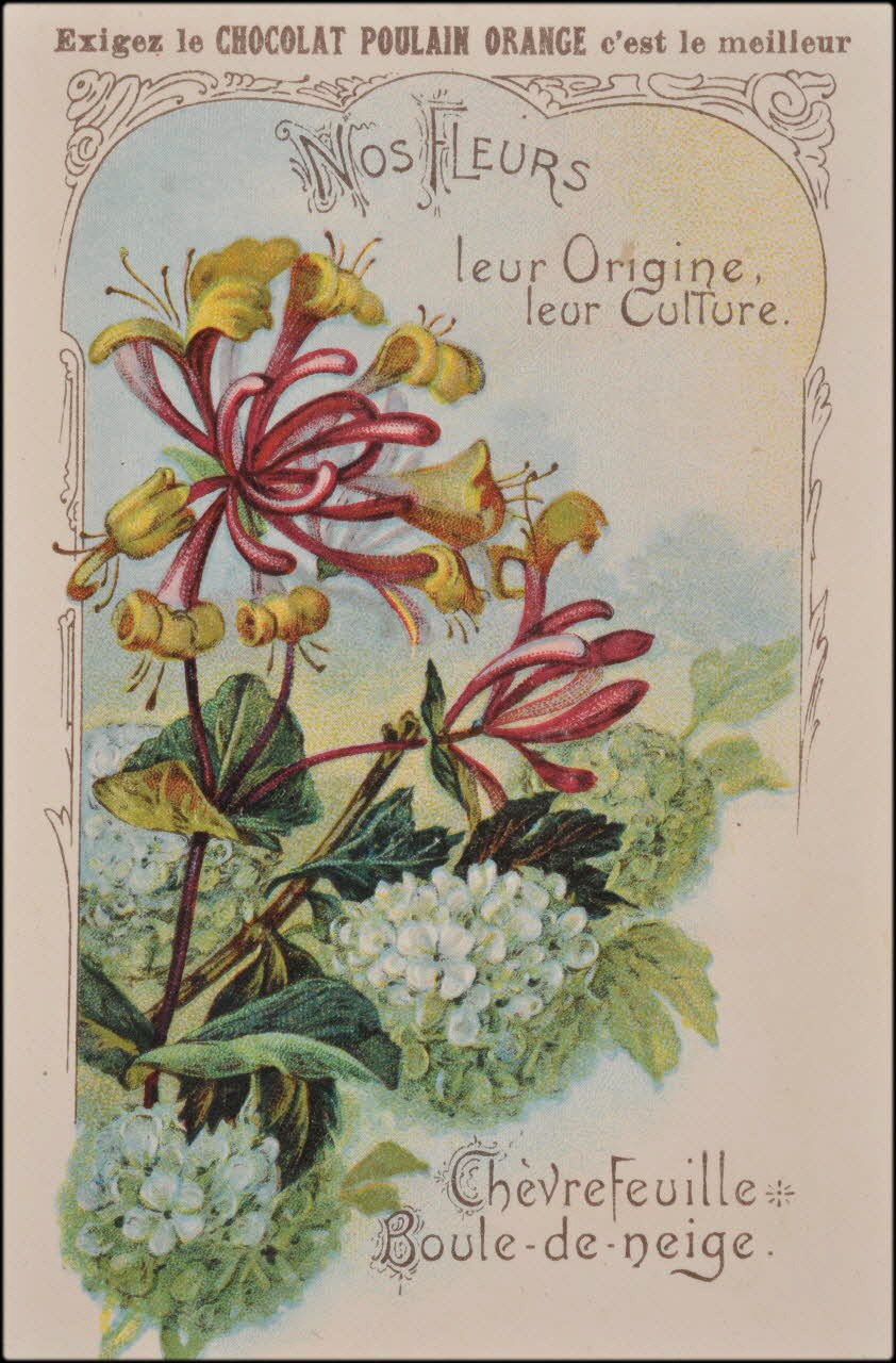 Romanet carte réclame chromo Paris 1877-1913 1995.1.1183.9 Photo