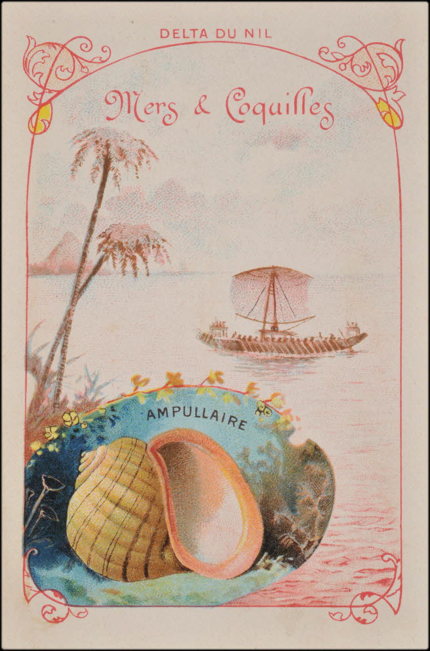 Romanet carte réclame chromo Paris 1877-1913 1995.1.1189.11 Photo