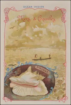 Romanet carte réclame chromo Paris 1877-1913 1995.1.1189.3 Photo
