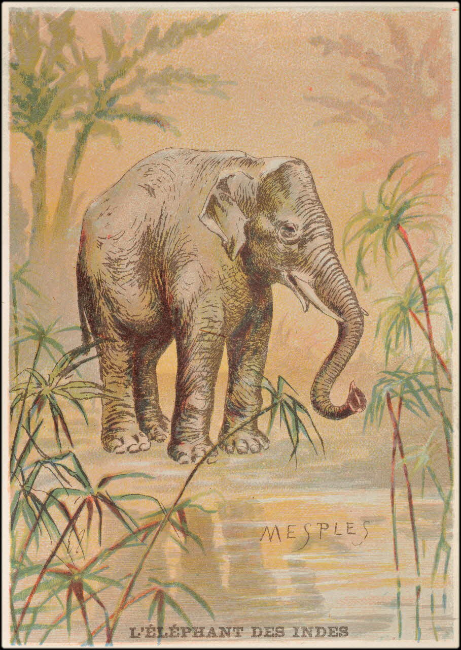 E Mesplès ; Baster & Vieillemard carte réclame chromo Paris 1878-1914 1995.1.120.10 Photo