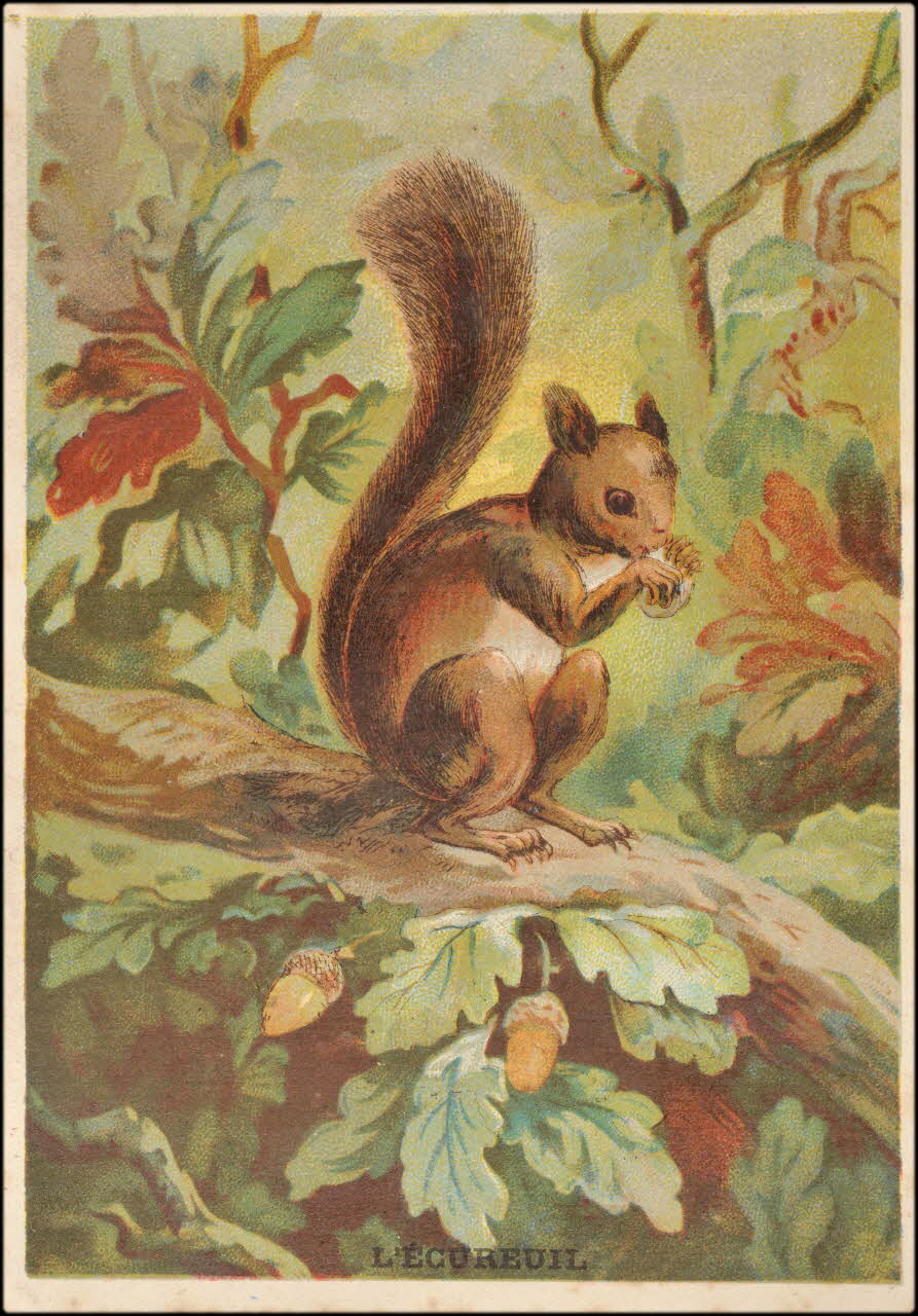 E Mesplès ; Baster & Vieillemard carte réclame chromo Paris 1878-1914 1995.1.120.9 Photo