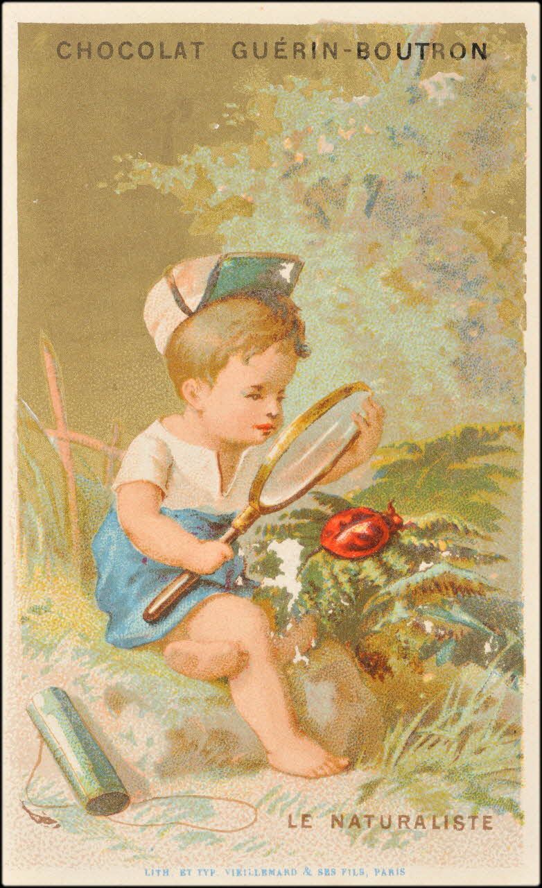 Baster & Vieillemard carte réclame chromo Paris 1878-1914 1995.1.131.4 Photo