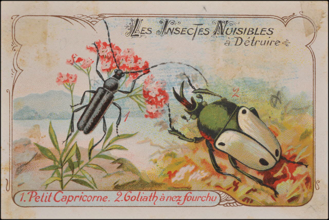 Romanet carte réclame chromo Paris 1877-1907 1995.1.1383.3 Photo