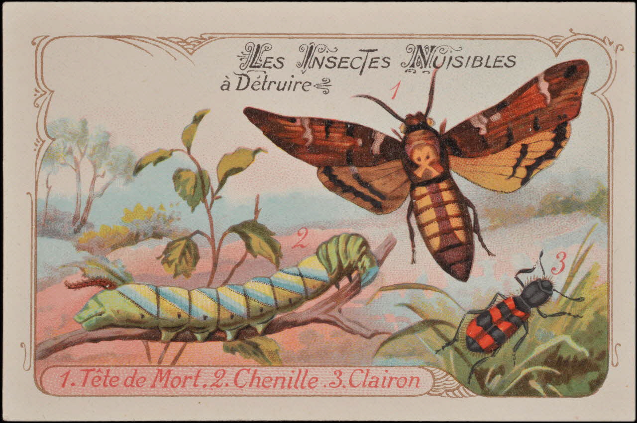 Romanet carte réclame chromo Paris 1877-1907 1995.1.1383.7 Photo