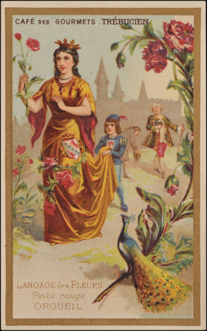 carte réclame chromo 1995.1.1433.6 Photo