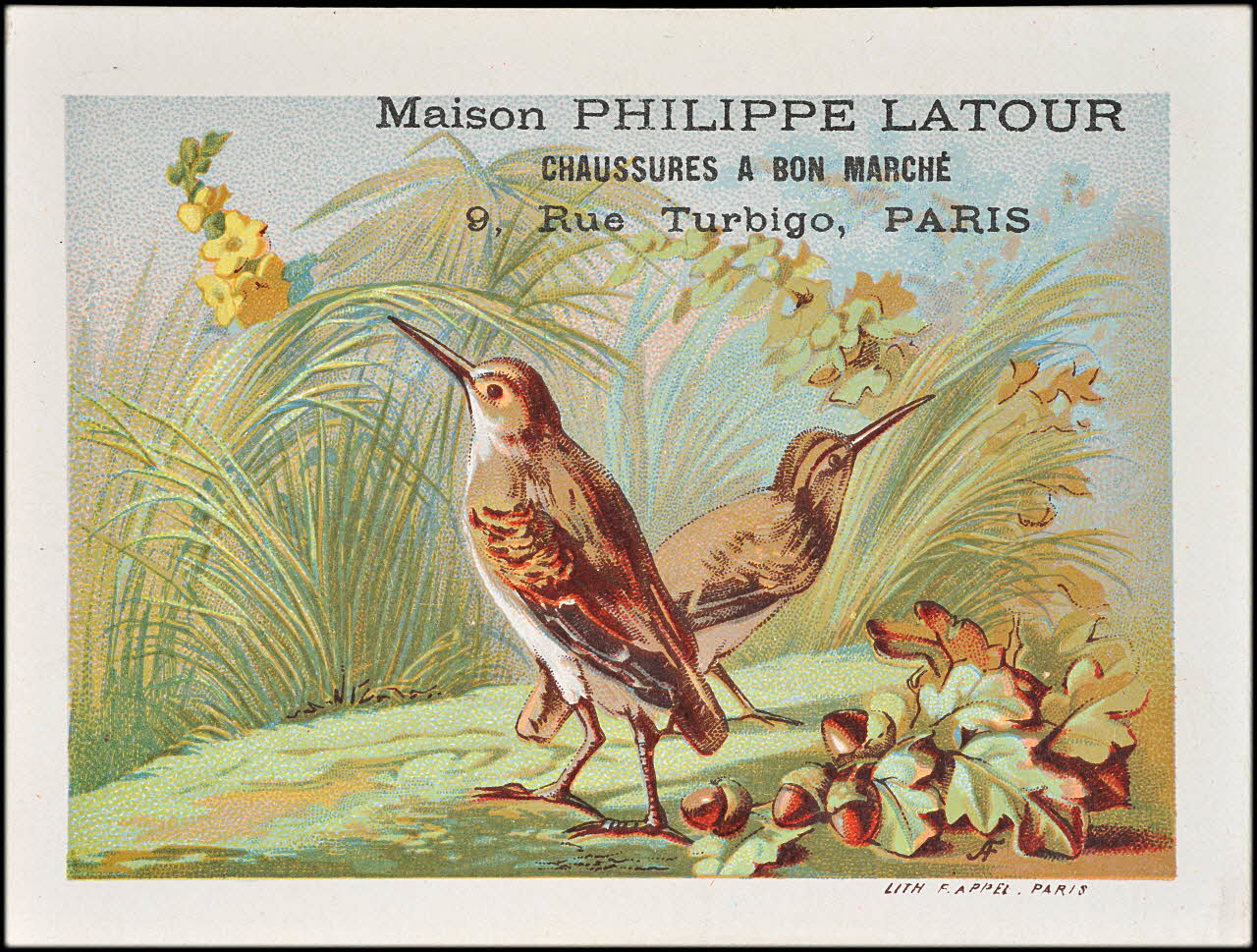 Parrot et Cie successeur carte réclame chromo Paris 1878-1890 1995.1.1611.10 Photo