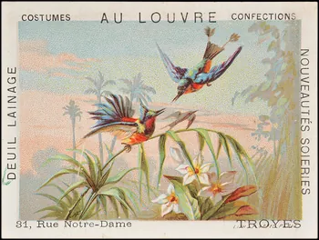 carte réclame chromo Paris 1878-1890 1995.1.1611.2 Photo
