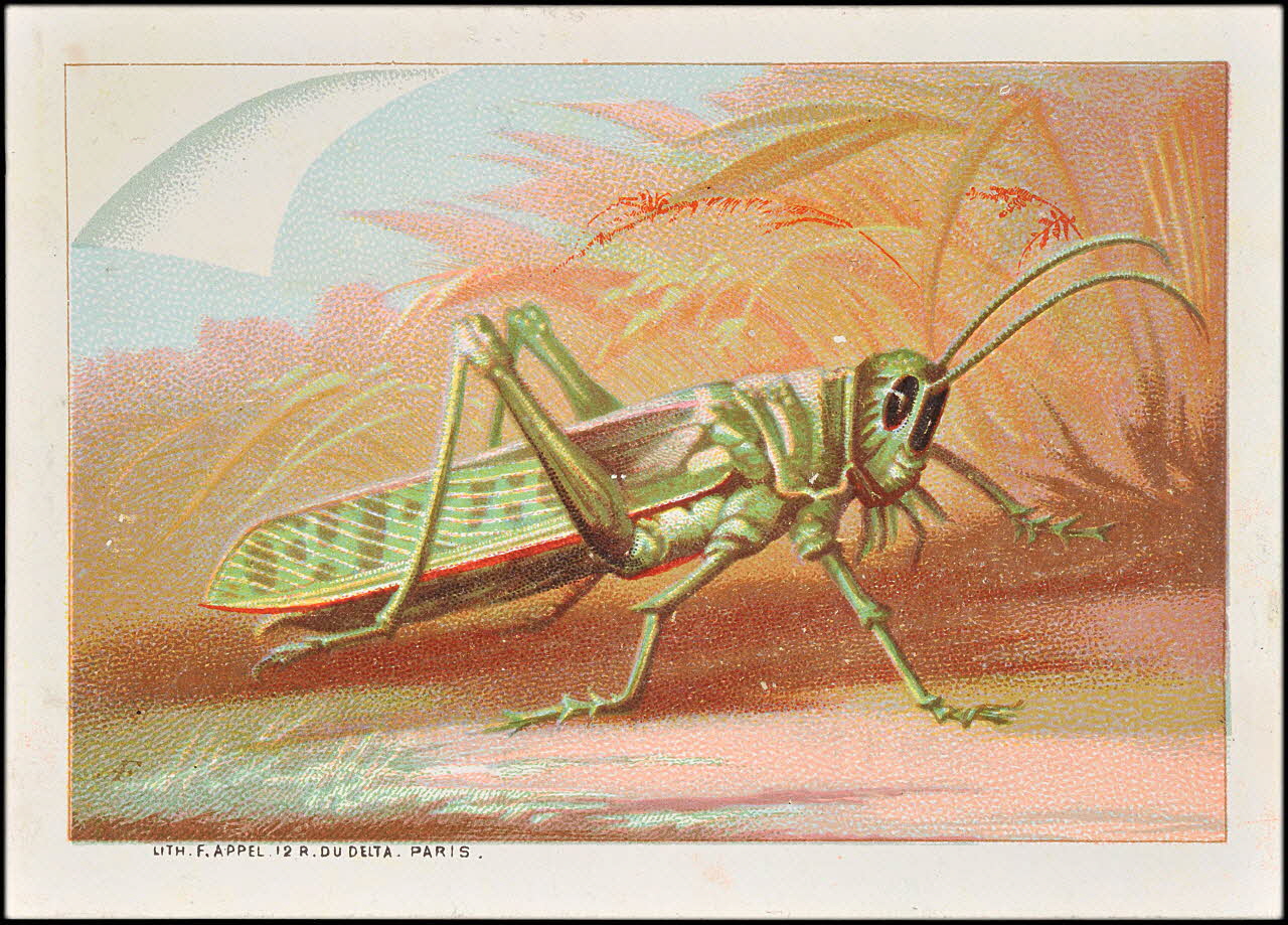 carte réclame chromo Paris 1878-1890 1995.1.1612.1 Photo