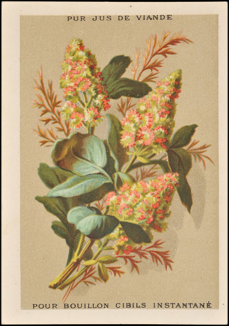 Parrot et Cie successeur carte réclame chromo Paris 1878-1890 1995.1.1617.1 Photo