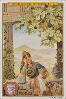 Romanet carte réclame chromo France 1878-1889 1995.1.1929.2 Photo