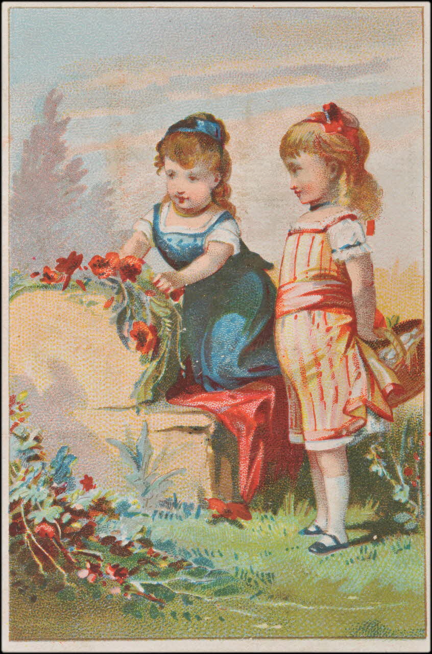 Romanet carte réclame chromo Paris 1878-1889 1995.1.1937.5 Photo