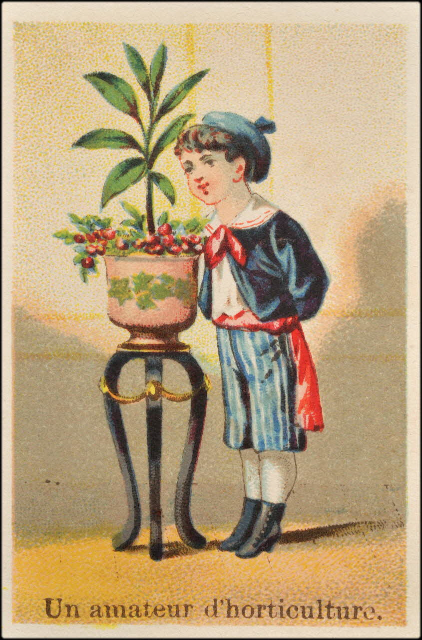 carte réclame chromo 1995.1.2221.6 Photo