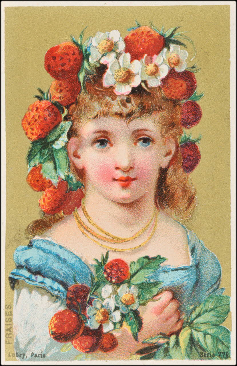 carte réclame chromo 1995.1.2234.3 Photo