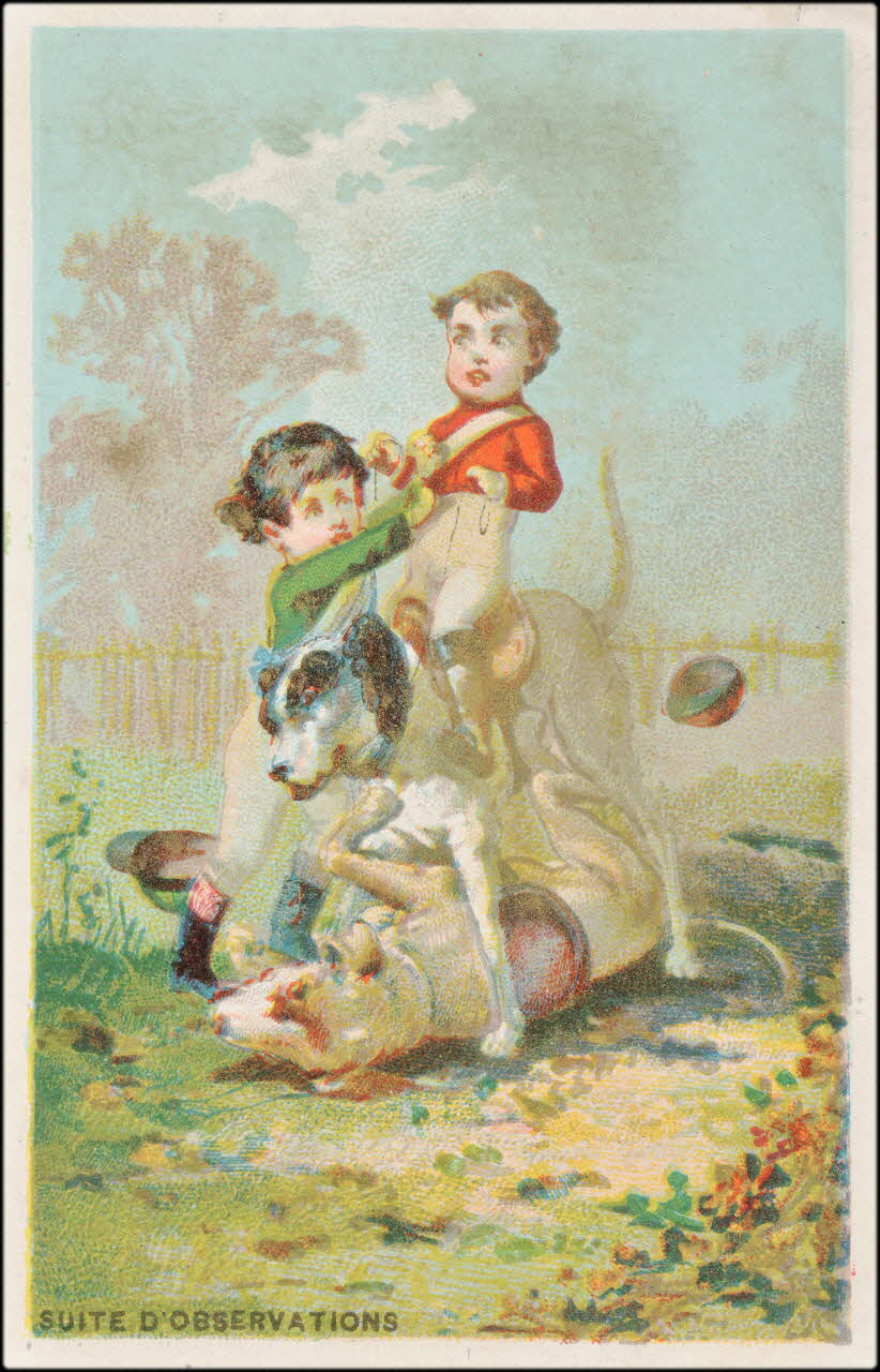 carte réclame chromo 1995.1.2237.5 Photo