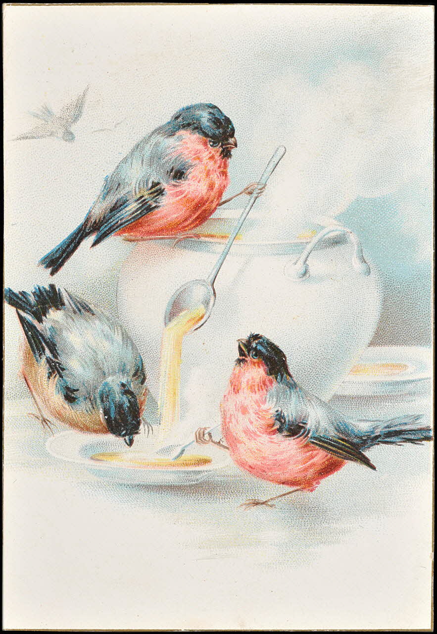 carte réclame chromo 1995.1.2416.1 Photo