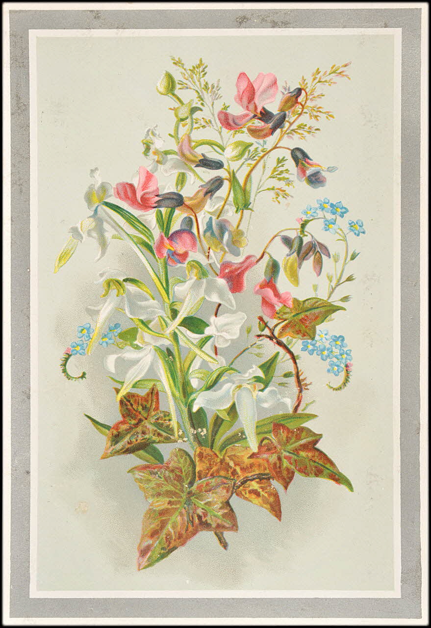 carte réclame chromo 1995.1.2426.4 Photo