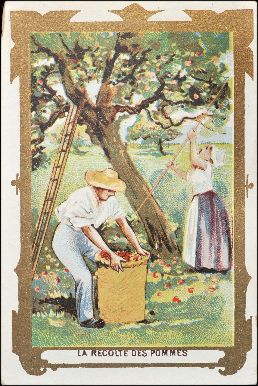 carte réclame chromo 1995.1.2451.1 Photo