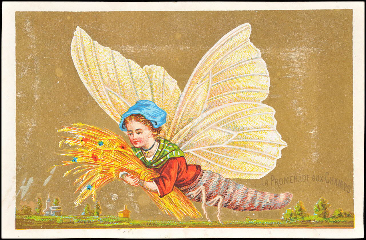 carte réclame chromo 1995.1.2527.3 Photo