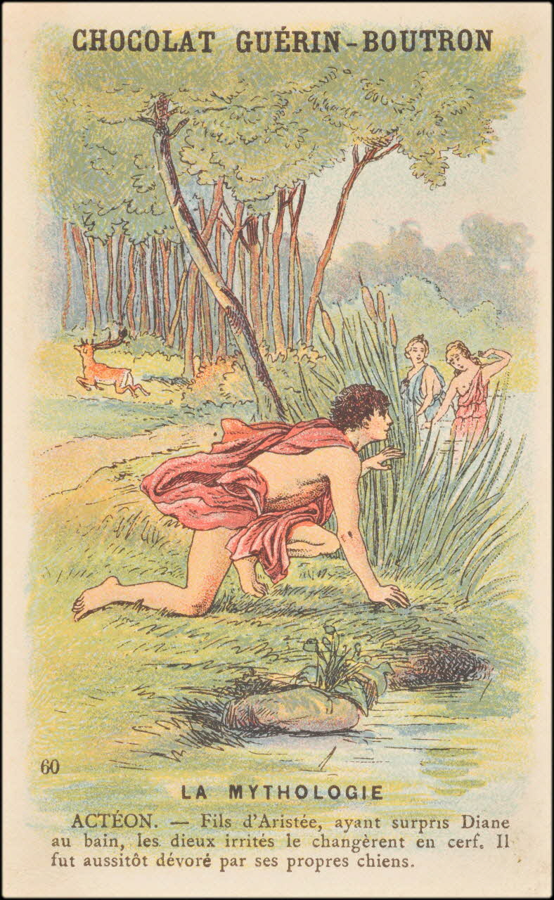 carte réclame chromo 1995.1.266.31 Photo