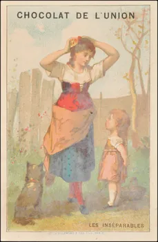 Baster & Vieillemard carte réclame chromo Paris 1886-1895 1995.1.3145.3 Photo