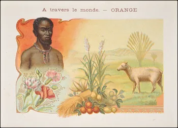 Baster & Vieillemard / Nathan F. carte réclame chromo Paris 1895-1906 1995.1.3165.1  Photo