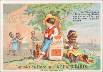 Baster & Vieillemard carte réclame chromo Paris 1878-1914 1995.1.3173.1 Photo