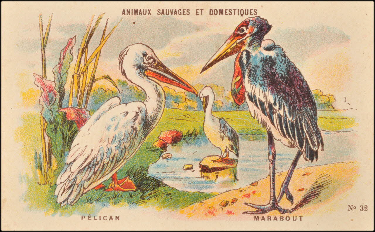 Baster & Vieillemard / Nathan F. carte réclame chromo Paris 1878-1914 1995.1.3178.3 Photo