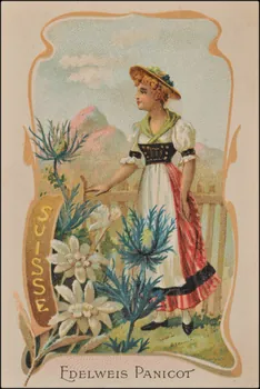 Romanet carte réclame chromo Paris 1877-1907 1995.1.353.7  Photo