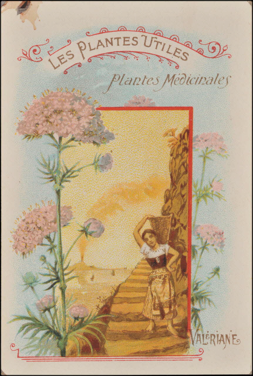 Romanet carte réclame chromo Paris 1877-1907 1995.1.354.10 Photo