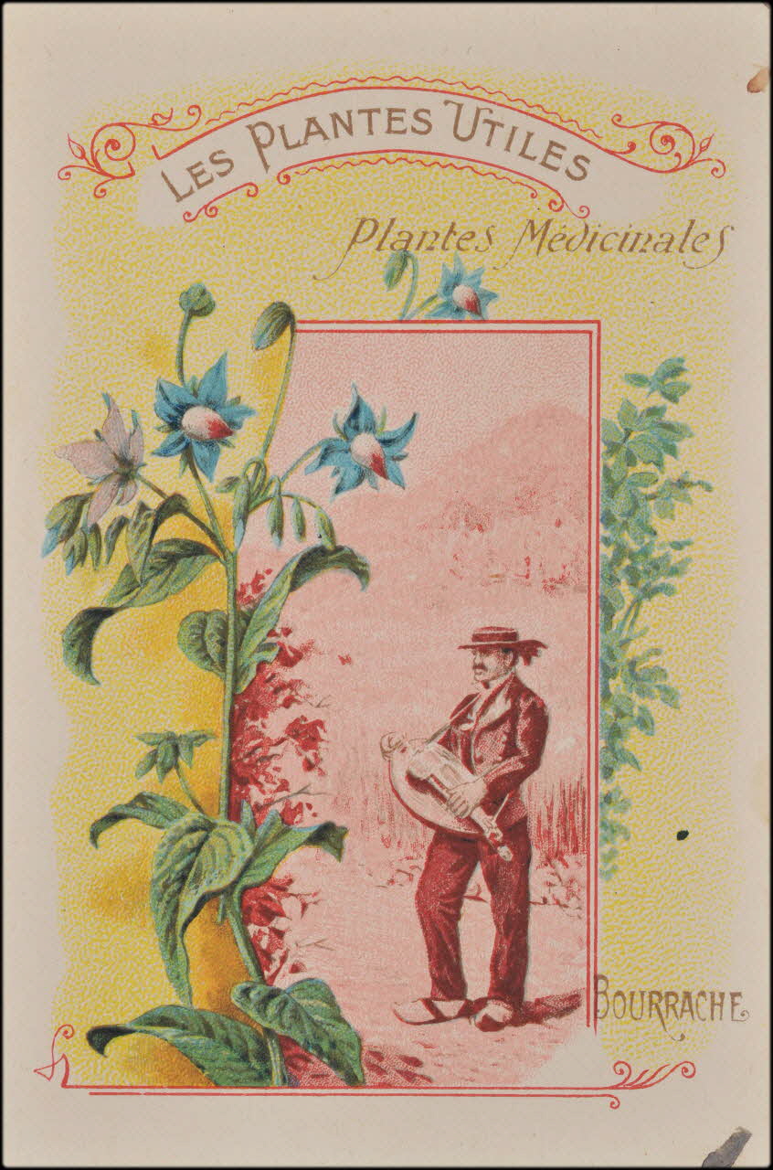 Romanet carte réclame chromo Paris 1877-1907 1995.1.354.2 Photo Mucem