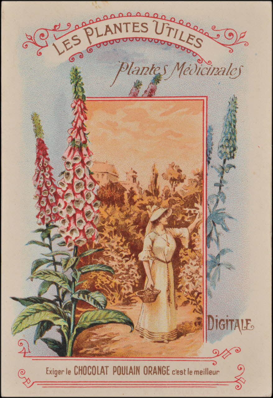 Romanet carte réclame chromo Paris 1877-1907 1995.1.354.3 Photo