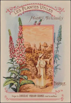 Romanet carte réclame chromo Paris 1877-1907 1995.1.354.3 Photo
