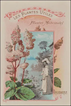 Romanet carte réclame chromo Paris 1877-1907 1995.1.354.7  Photo
