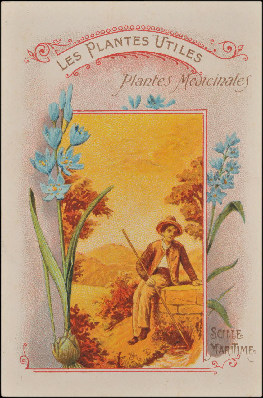 Romanet carte réclame chromo Paris 1877-1907 1995.1.354.8 Photo