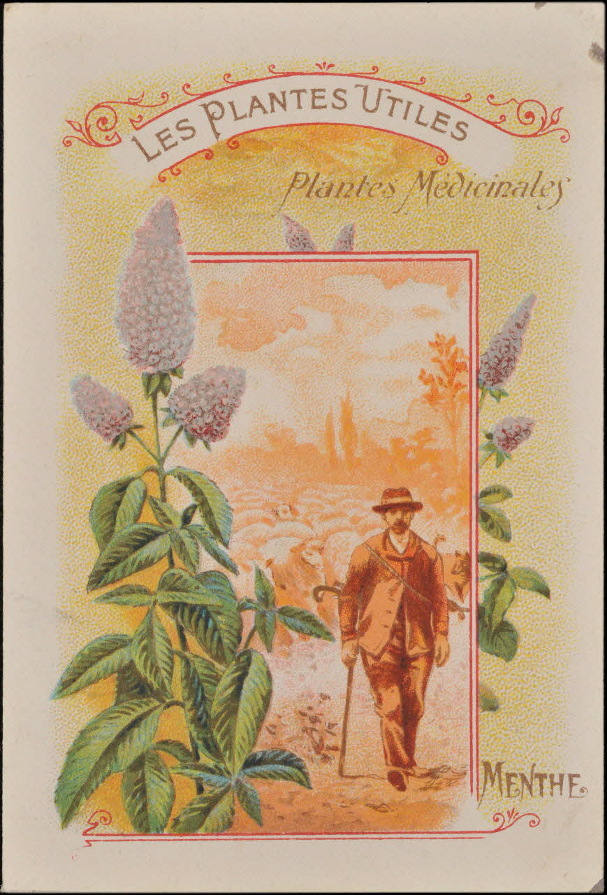 Romanet carte réclame chromo Paris 1877-1907 1995.1.354.9 Photo