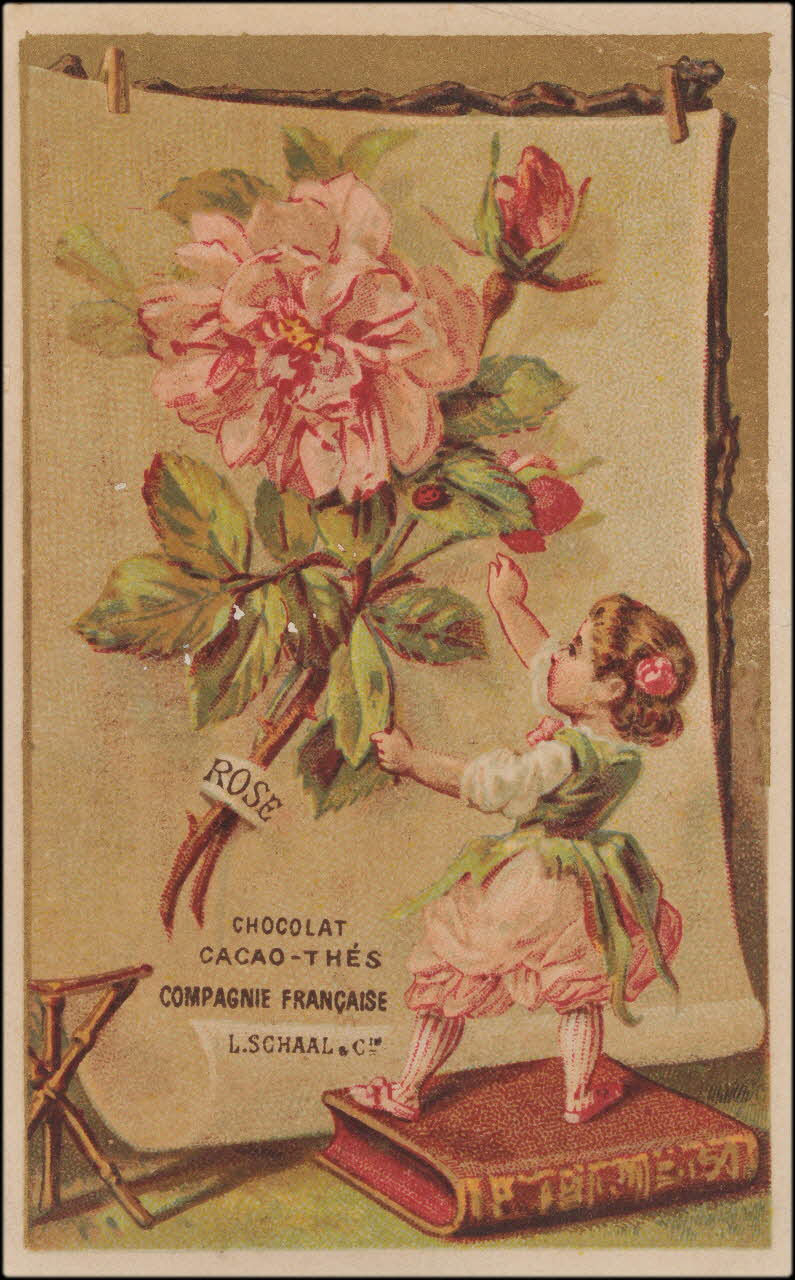 Romanet carte réclame chromo Paris 1877-1907 1995.1.357.1  Photo