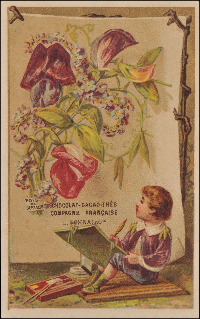 Romanet carte réclame chromo Paris 1877-1907 1995.1.357.4 Photo