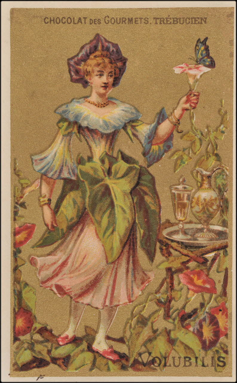 Romanet carte réclame chromo Paris 1877-1907 1995.1.359.2 Photo