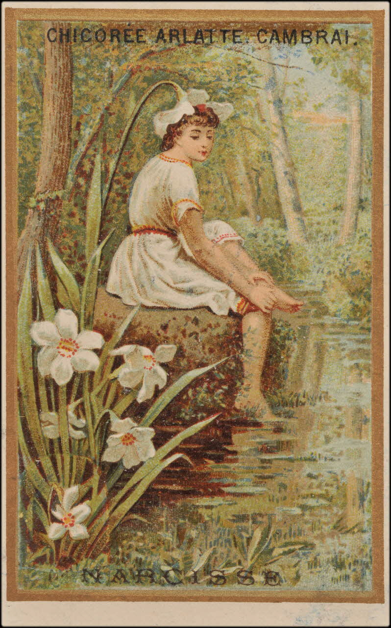 Romanet carte réclame chromo Paris 1877-1907 1995.1.360.2 Photo