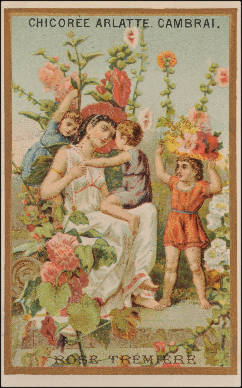 Romanet carte réclame chromo Paris 1877-1907 1995.1.360.5 Photo