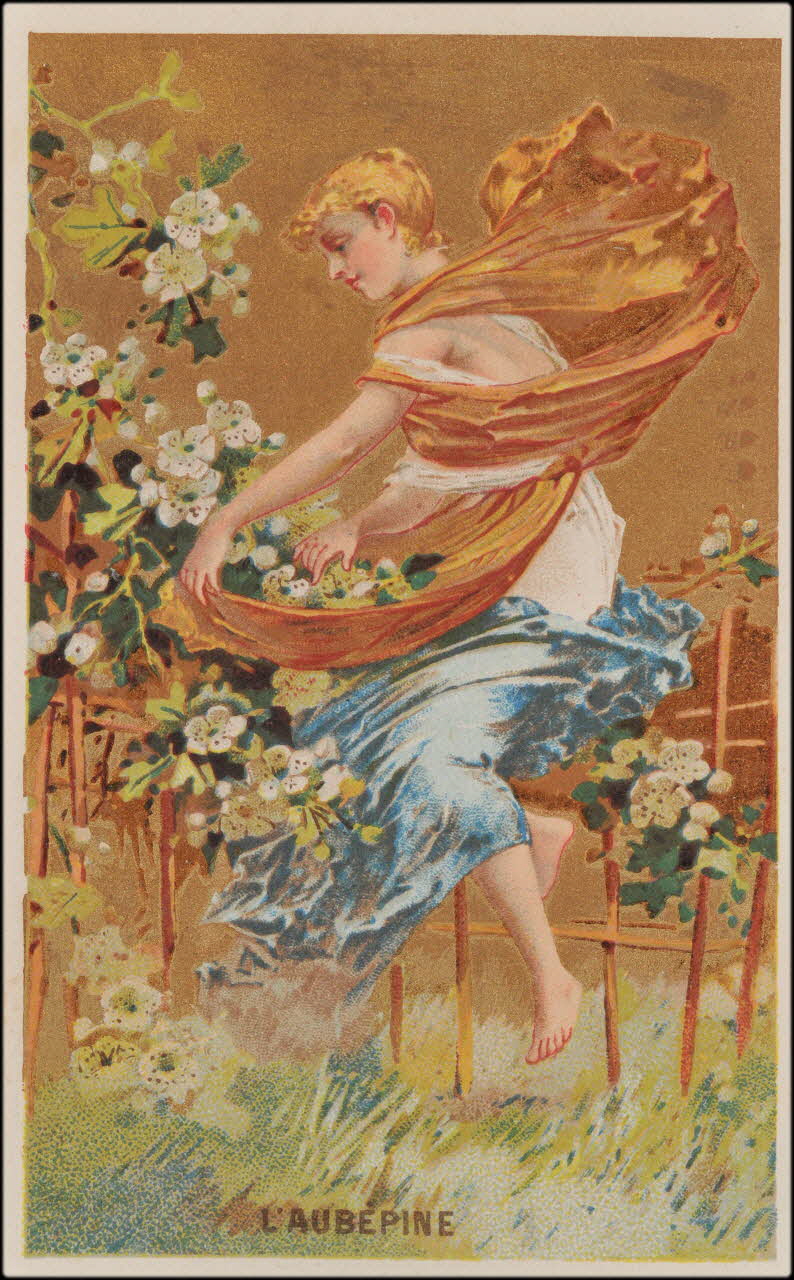 Romanet carte réclame chromo Paris 1877-1907 1995.1.361.1 Photo