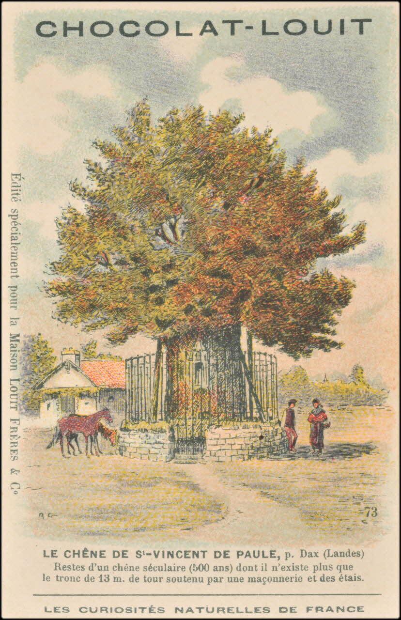 Baster & Vieillemard ; A.G. carte réclame chromo Paris 1878-1914 1995.1.3921.6 Photo