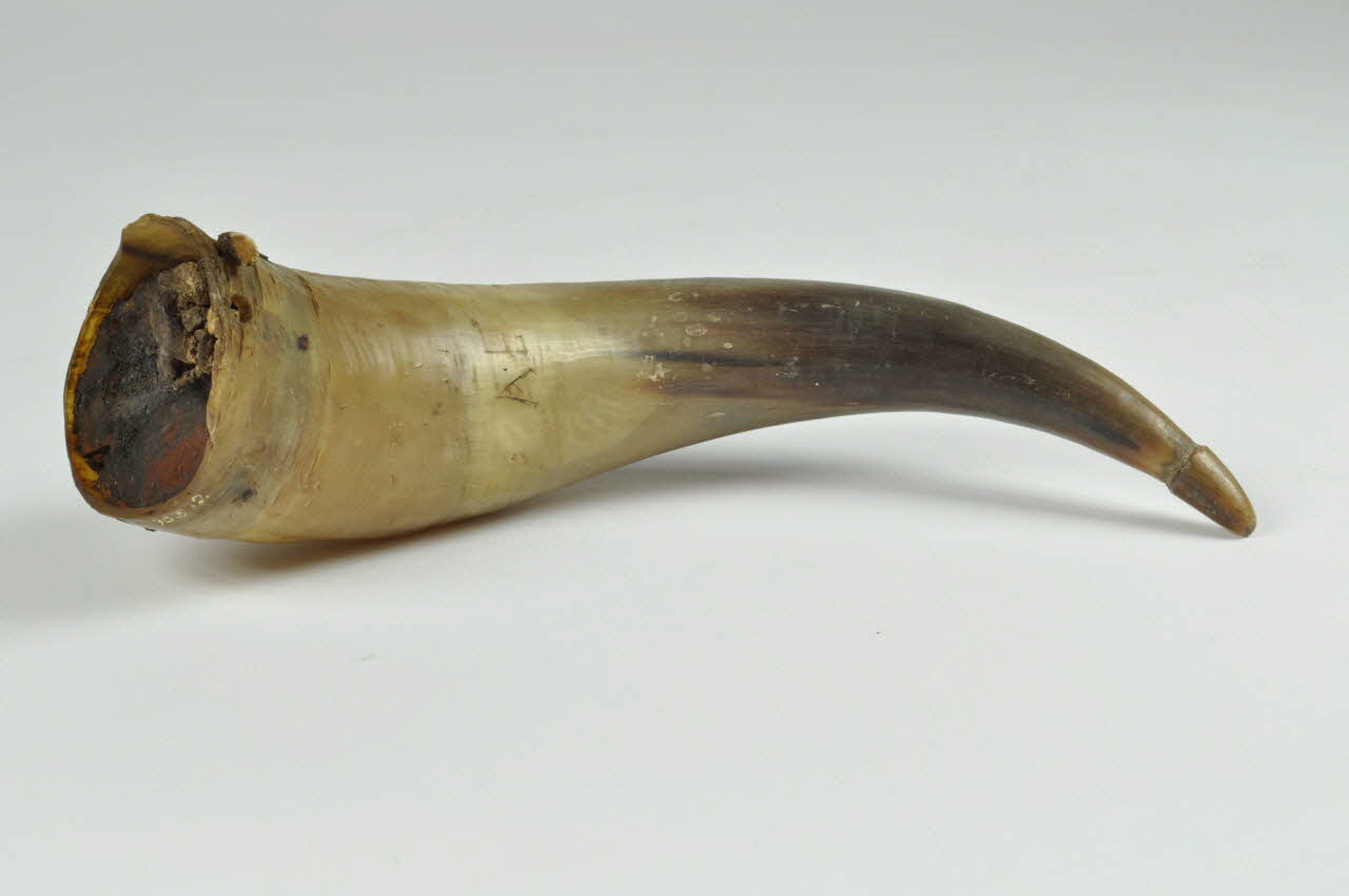 corne 1890.5.12 Photo Mucem