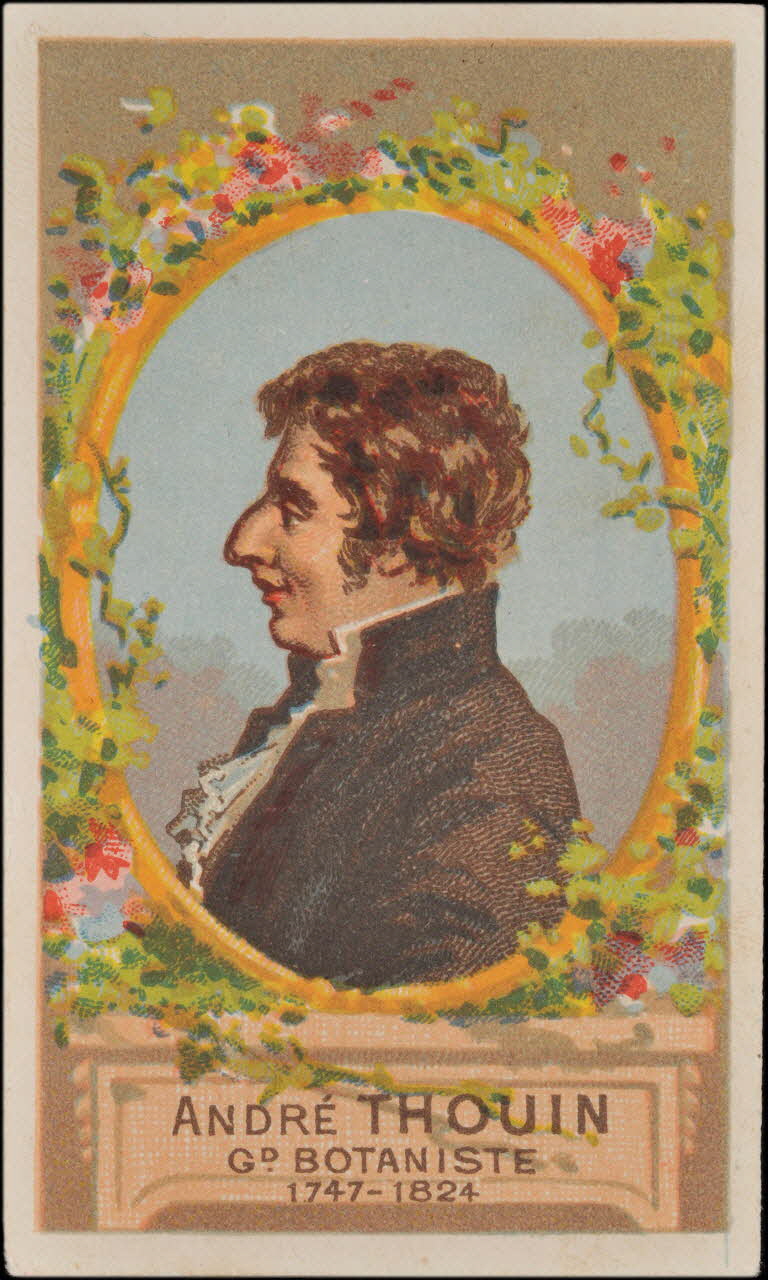 Romanet carte réclame chromo Paris 1877-1907 1995.1.408.13 Photo