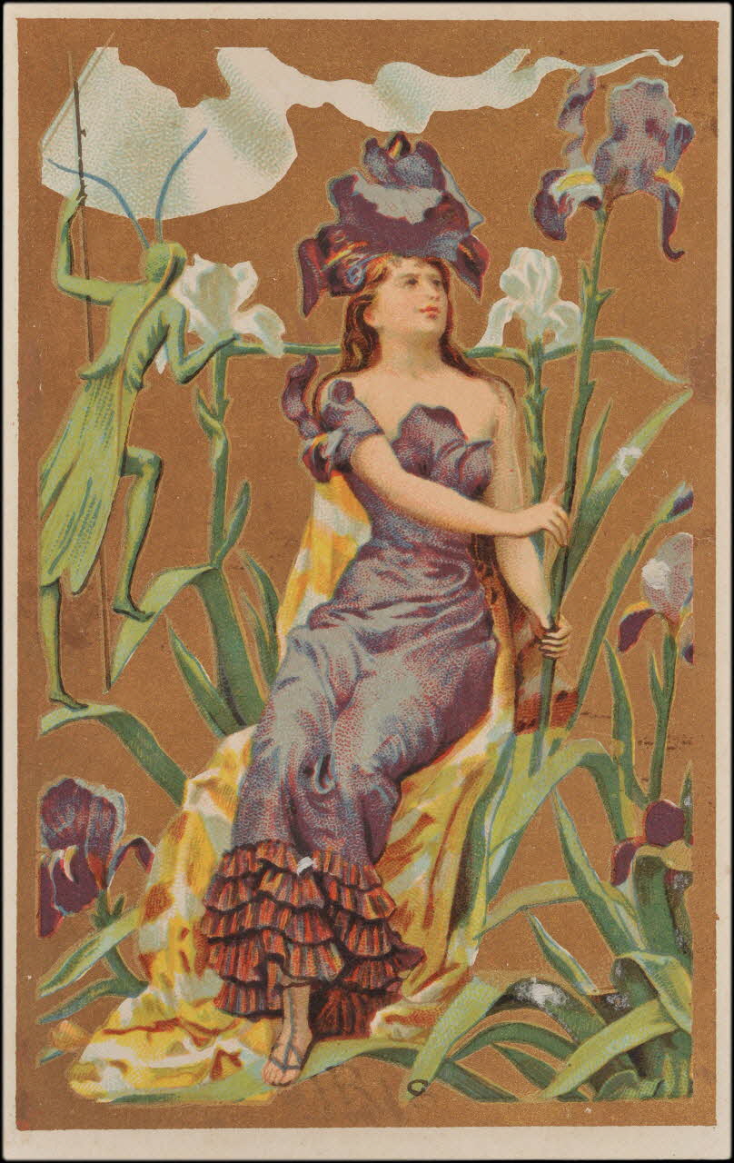 Romanet carte réclame chromo Paris 1877-1878 1995.1.4446.2 Photo