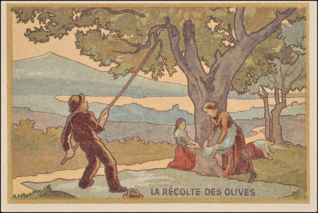 Romanet carte réclame chromo Paris 1900-1919 1995.1.4479.1 Photo