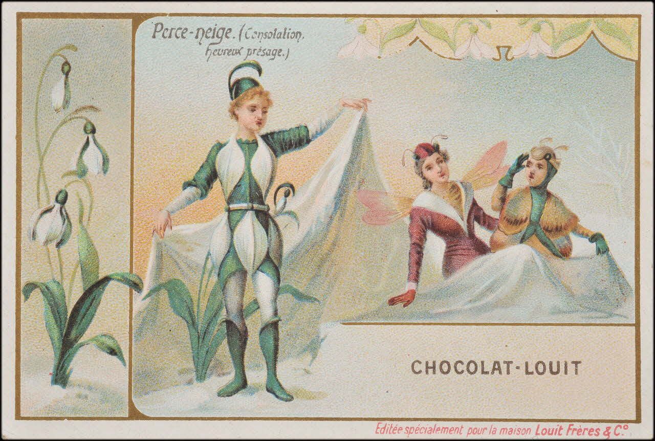 carte réclame chromo 1995.1.4489.13 Photo