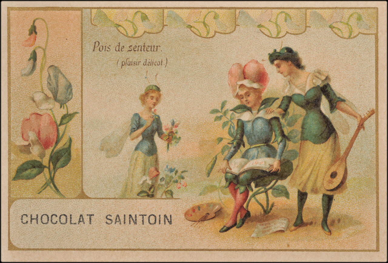 Romanet carte réclame chromo Paris 1900-1919 1995.1.4489.16 Photo