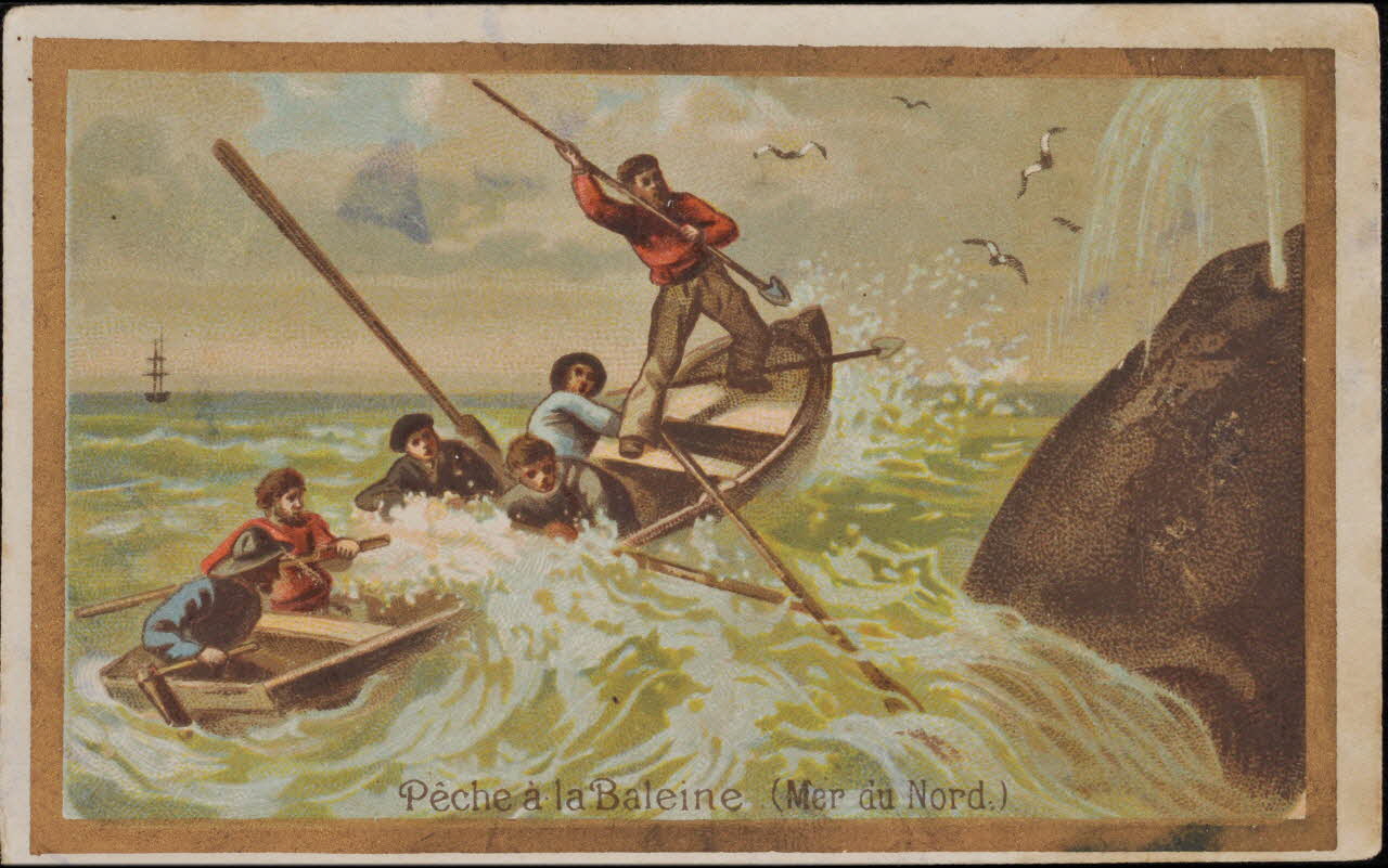 carte réclame chromo 1995.1.4512.6 Photo