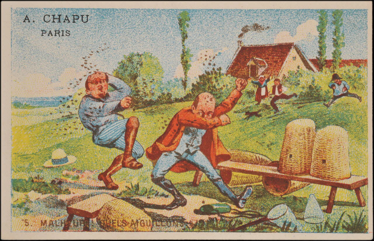 carte réclame chromo 1995.1.4546.5 Photo